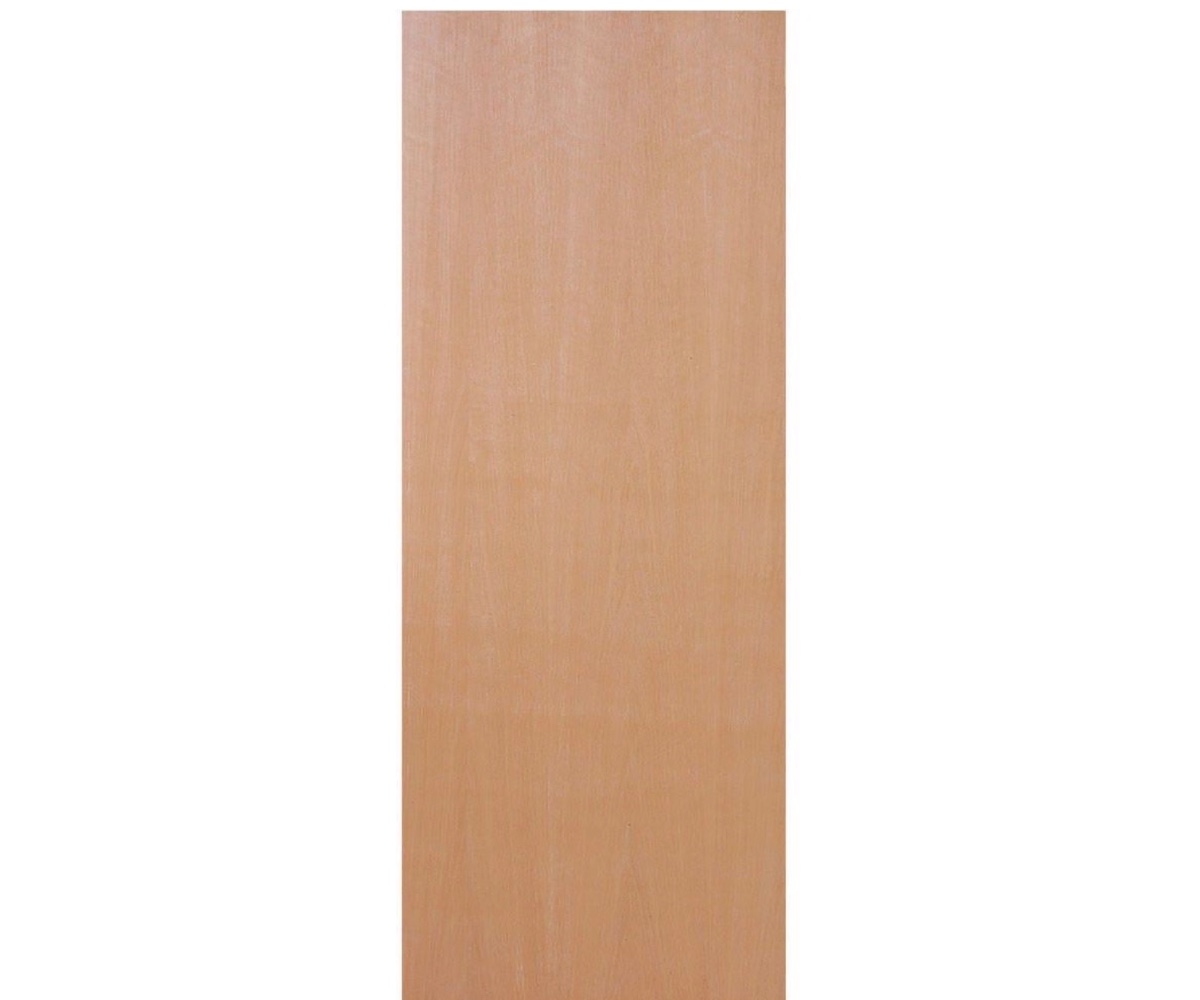 Flush Ply Interior Door, full view